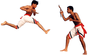 Kalaripayattu Demonstration