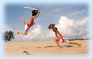Kalaripayattu in theatre