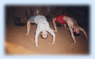 Benefits of Meythari
